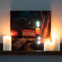 The Witching Hour Light Up Canvas Plaque by Lisa Parker - Image 5