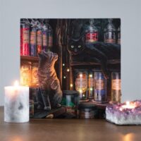 Magical Emporium Light Up Canvas Plaque by Lisa Parker - Image 5