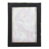 19x25cm Earth Element Sorceress Canvas Plaque by Anne Stokes - Image 3