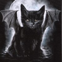 19x25cm Bat Cat Canvas Plaque by Spiral Direct - Image 2