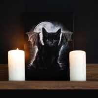 19x25cm Bat Cat Canvas Plaque by Spiral Direct - Image 4