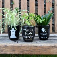 Witch's Herb Garden Plant Pot - Image 3