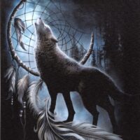 19x25cm From Darkness Canvas Plaque by Spiral Direct - Image 2