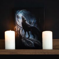 19x25cm From Darkness Canvas Plaque by Spiral Direct - Image 4