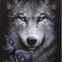 19x25cm Wolf Roses Canvas Plaque by Spiral Direct - Image 2