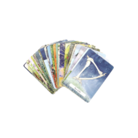 The Witches' Wisdom Tarot Cards Standard Edition - Image 4