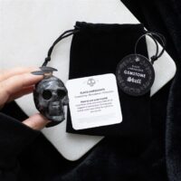 Black Labradorite Crystal Skull - Image 5