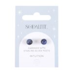 Sodalite Semi Precious Crystal Earrings