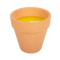 Gardener of the Year Citronella Candle - Image 3