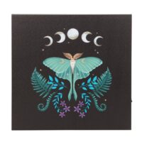 Luna Moth Light Up Canvas Plaque - Image 3