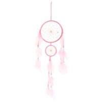 Light Pink Double Dreamcatcher with Tassels