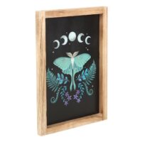 Luna Moth Wooden Framed Wall Art - Image 2